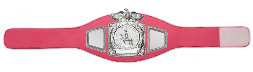 PROEAGLE WRESTLING CHAMPIONSHIP BELT - PROEAGLE/S/WRESTS - AVAILABLE IN 6+ COLOURS